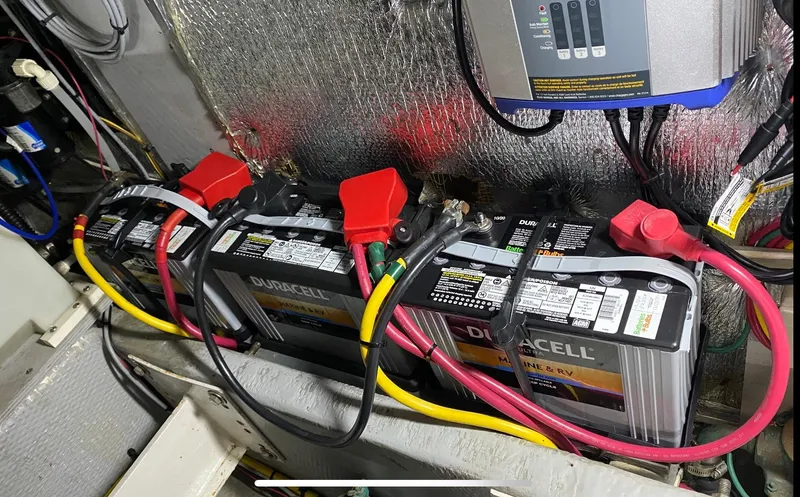 Dazilus Yacht Photos Pics 