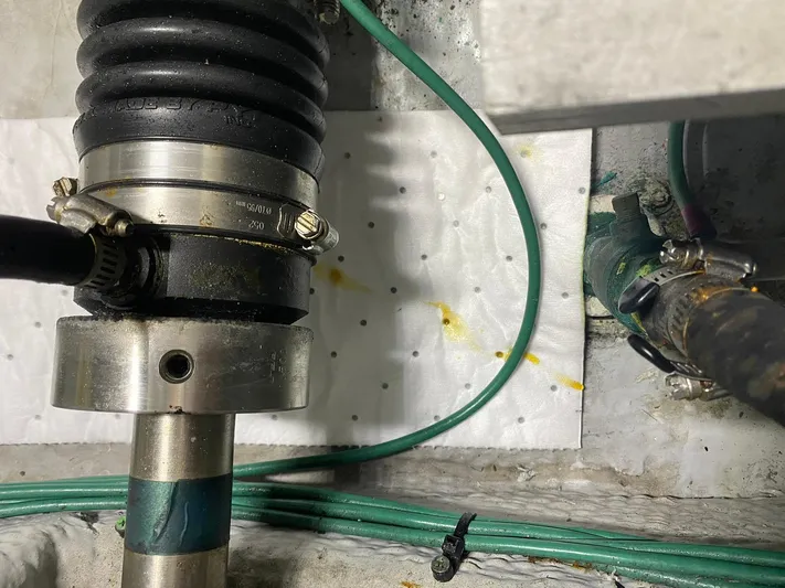 Dazilus Yacht Photos Pics 