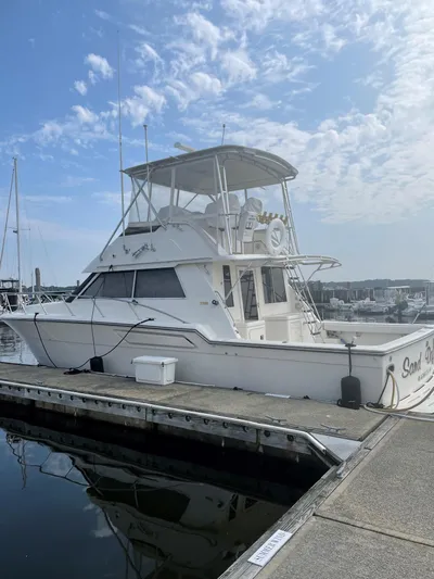 Sand Dollar Yacht Photos Pics Helm and companion chairs