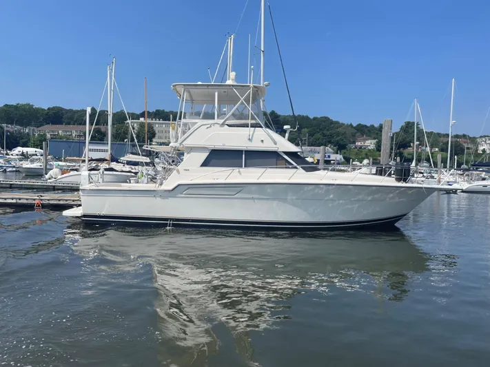 Sand Dollar Yacht Photos Pics Port profile at dock