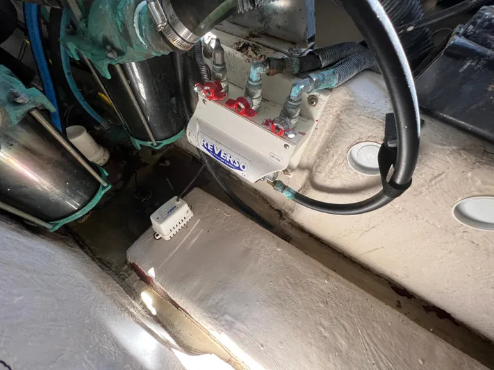 Dads Fault Yacht Photos Pics 