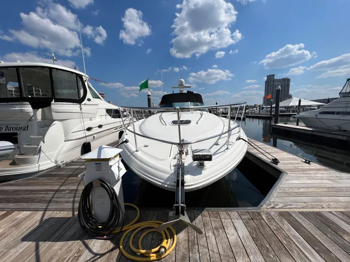 Dads Fault Yacht Photos Pics 