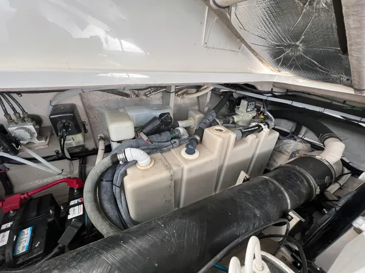 Dads Fault Yacht Photos Pics 