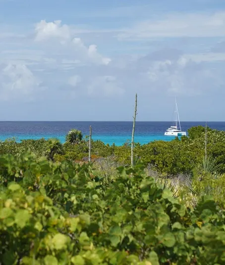 Stargazer Yacht Photos Pics 