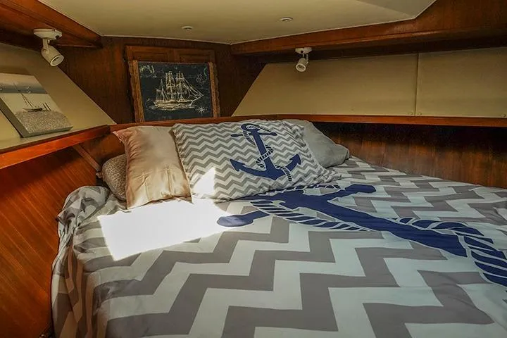 Impulse Yacht Photos Pics Cozy cabin interior of 1987 Viking Palm Beach with nautical-themed bedding.