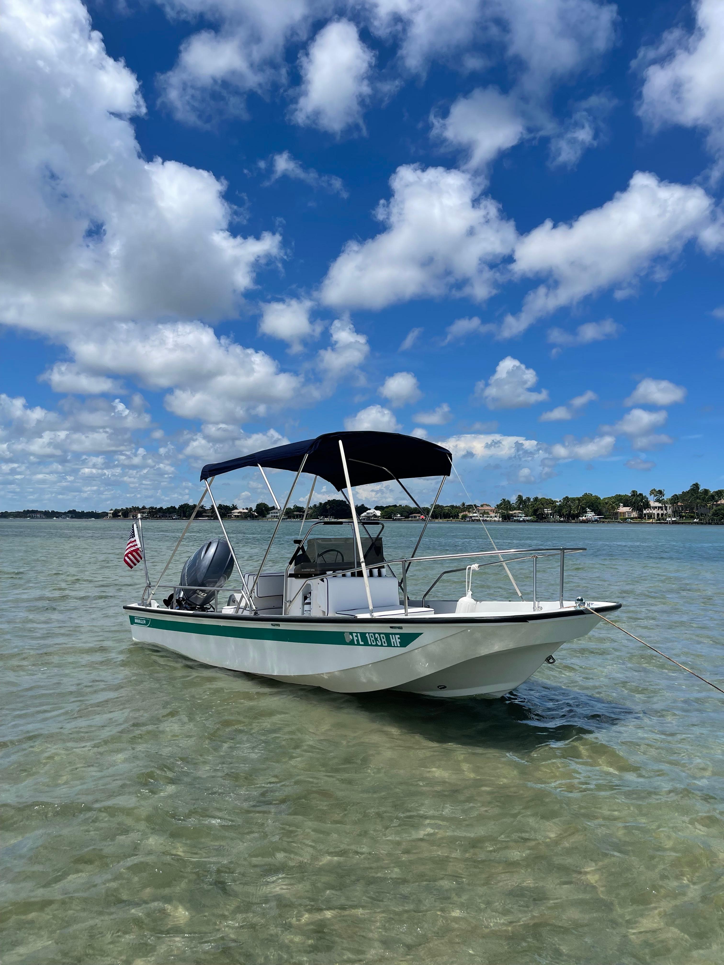 1991 Boston Whaler Montauk 17 30th Anniversary Edition Skiff for sale