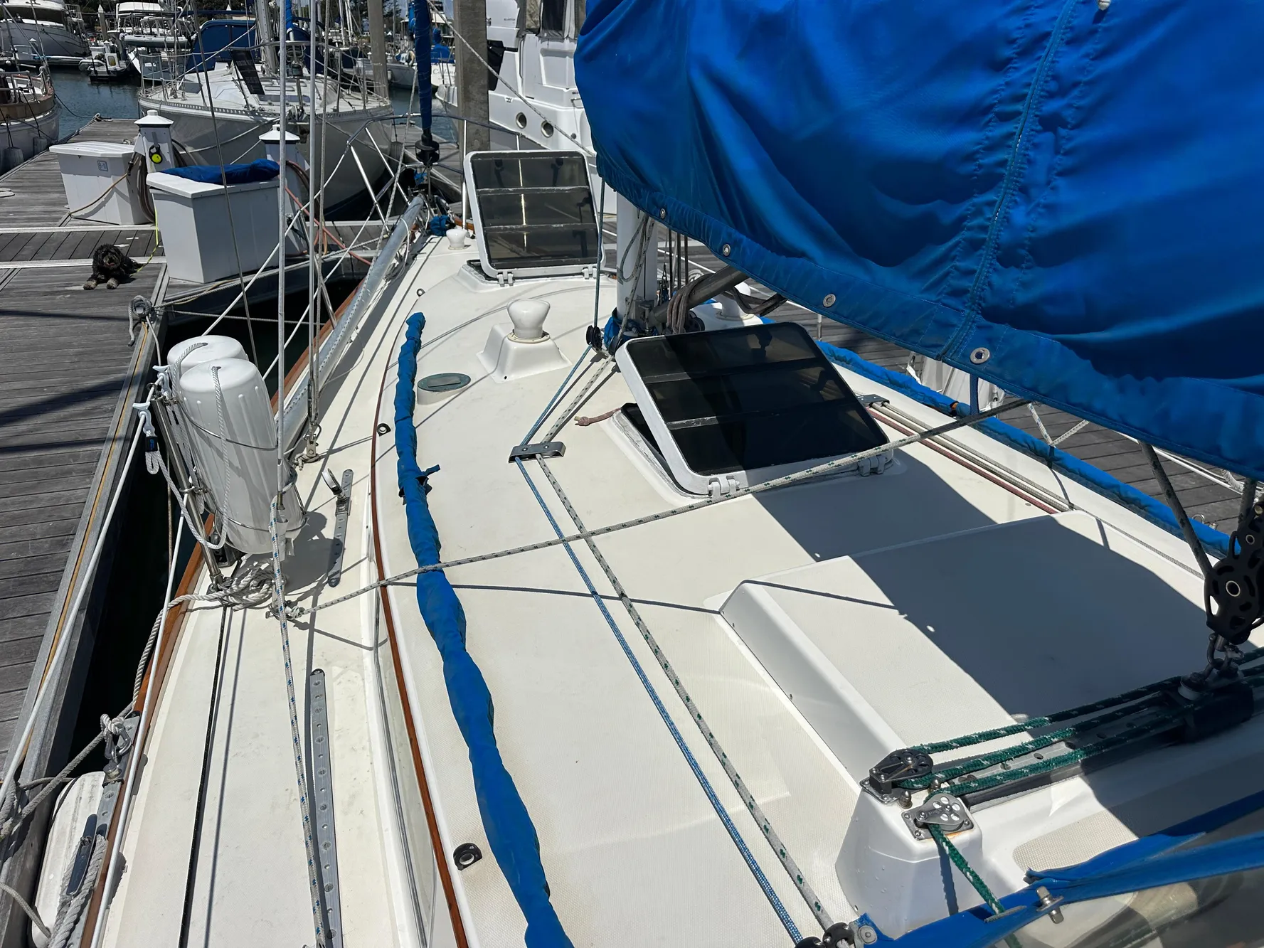 1985 Sabre 34 MKI sailboat with blue cover docked at marina.