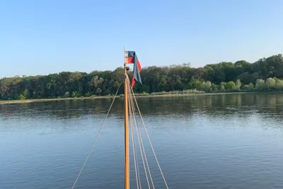 2022 Custom Fûtreau de Loire