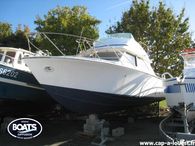 1973 Bertram 28