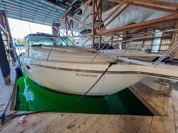 Panacea Yacht Photos Pics 