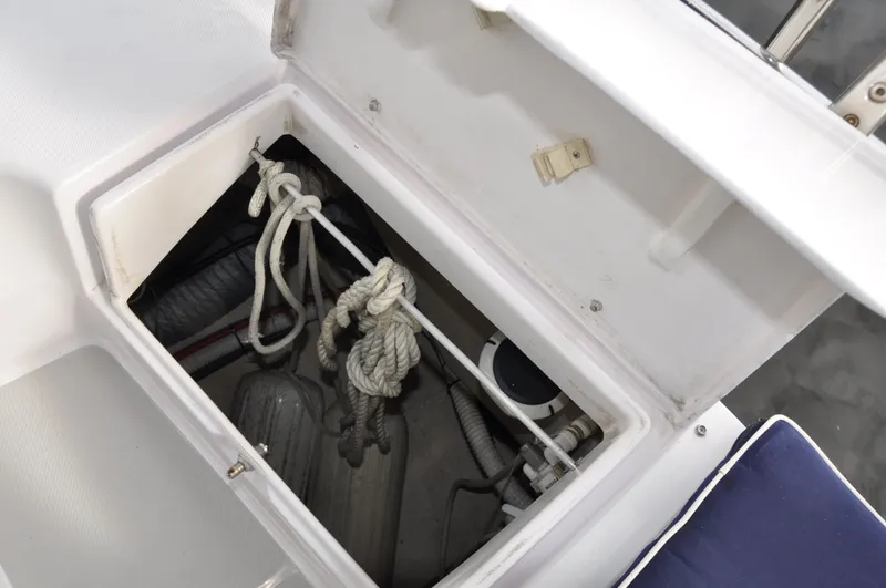 Starry Night Yacht Photos Pics 