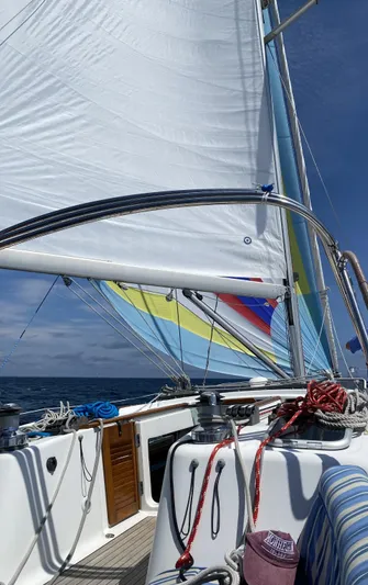 Surprise Yacht Photos Pics Surprise sailing spinnaker up