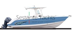 2008 Robalo r 300