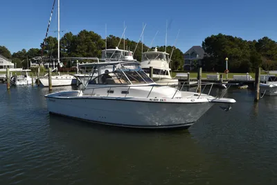 Shamrock 29