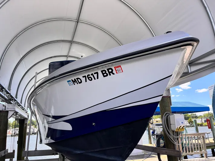  Yacht Photos Pics 2011 Statement 380 Open boat docked under canopy, registration MD 7617 BR visible.