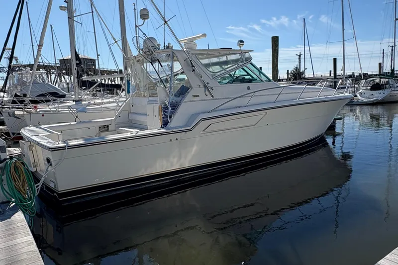 Mokai Yacht Photos Pics 1996 Tiara 4300 Open yacht docked at marina under clear blue sky.