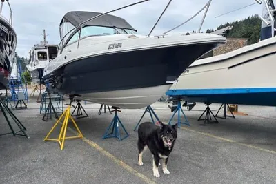 Campion Allante 21 OB Bowrider