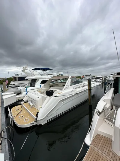 Sea Horse Yacht Photos Pics 