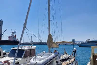 1980 Classis 8,5 Segugio