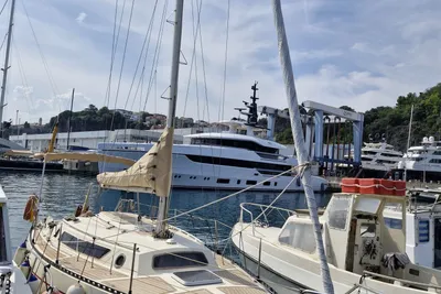 1980 Classis 8,5 Segugio