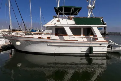 Cheer Men PT 38 Europa