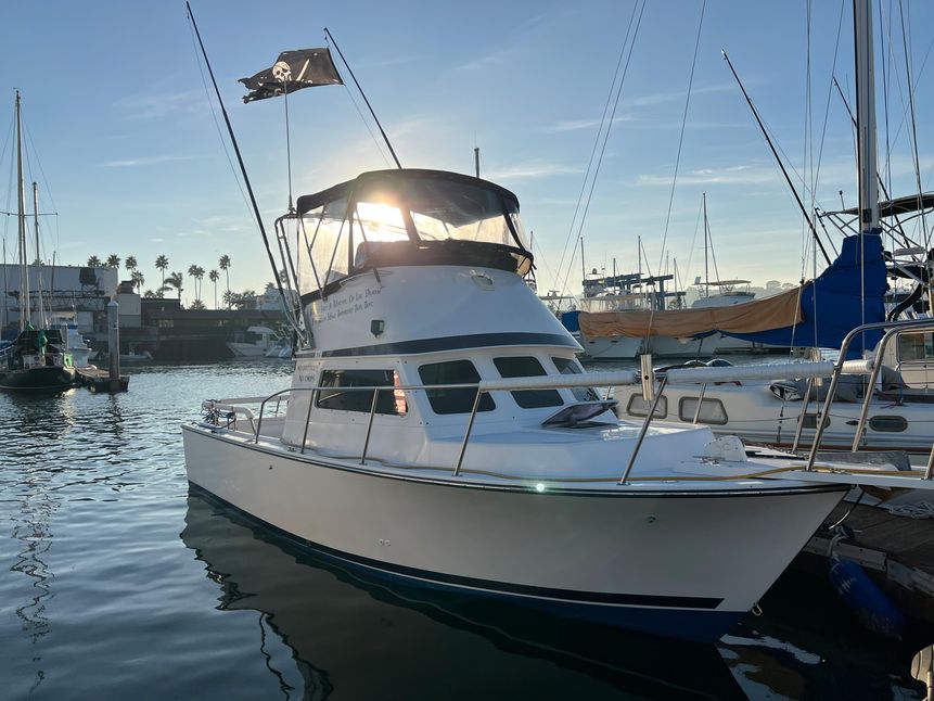 2005 Blackman Billfisher 26 Sport Fishing for sale YachtWorld