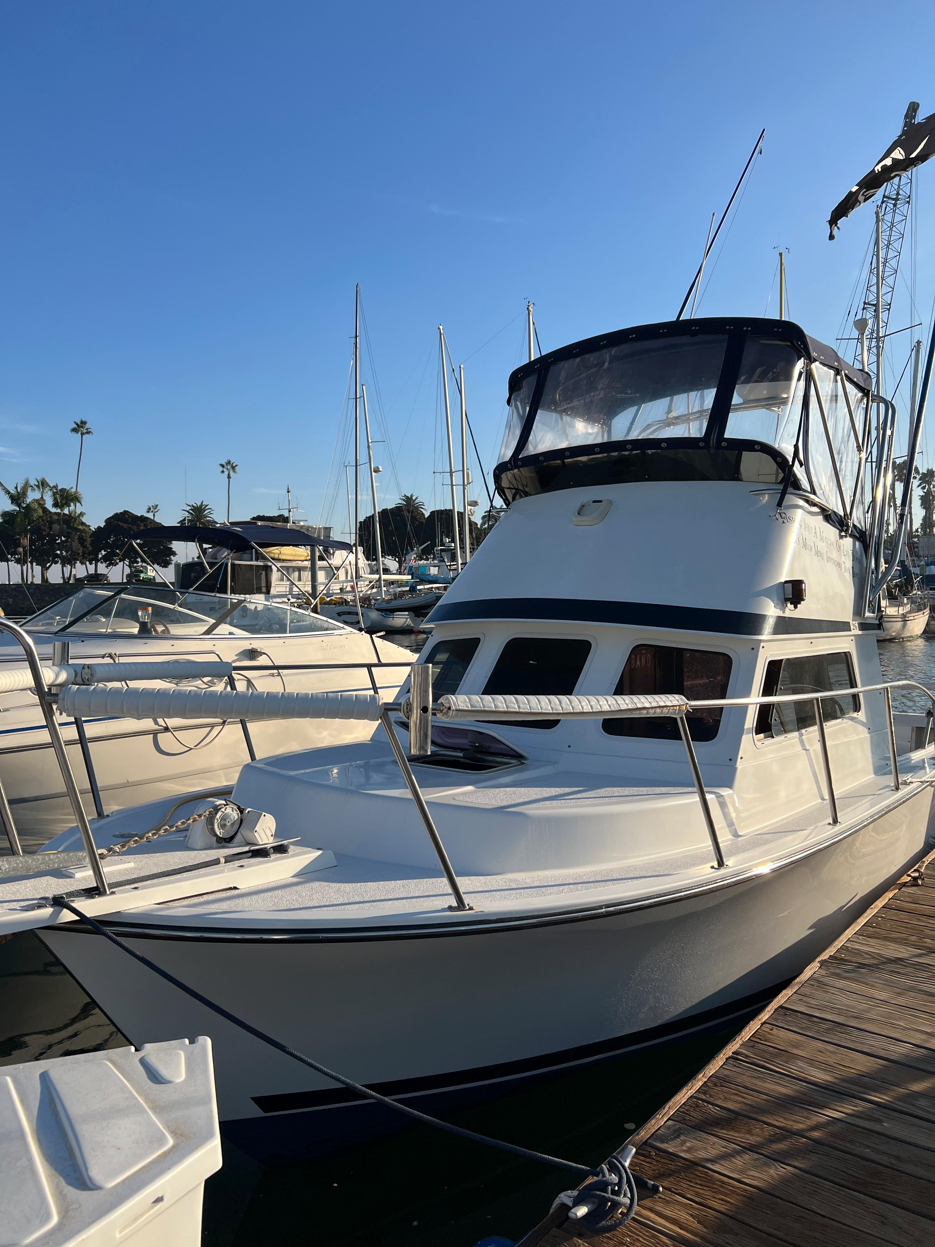 2005 Blackman Billfisher 26 Sport Fishing for sale YachtWorld