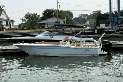 Scout 195 Sport Dorado