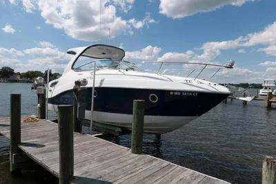 Rinker 290 EX