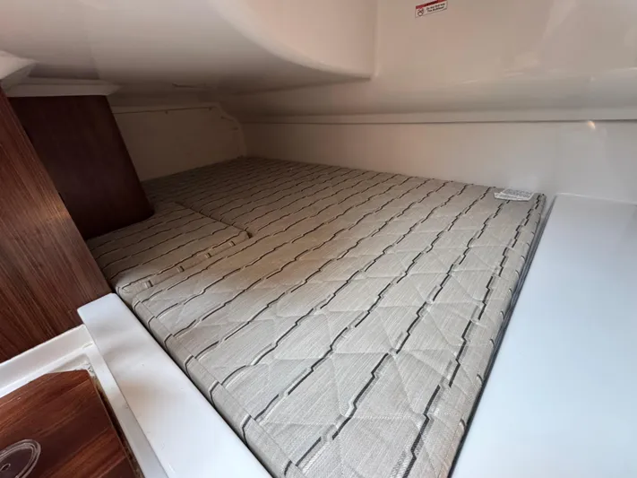  Yacht Photos Pics 2019 Pursuit DC 365 Dual Console cabin interior with cushioned sleeping area.