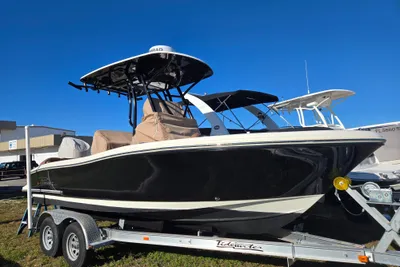 Pioneer 202 Islander
