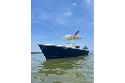 Custom Dominion 23