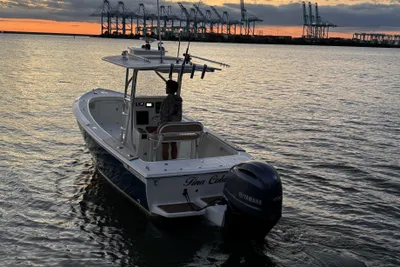 Custom Dominion 23