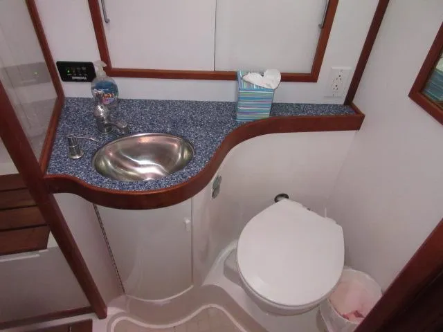 Chessea Horse Yacht Photos Pics head