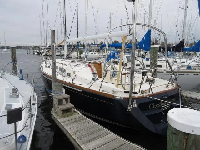 Chessea Horse Yacht Photos Pics In her slip