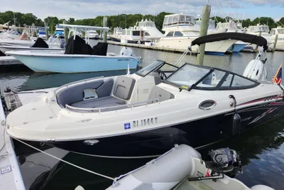 Stingray 231 DC