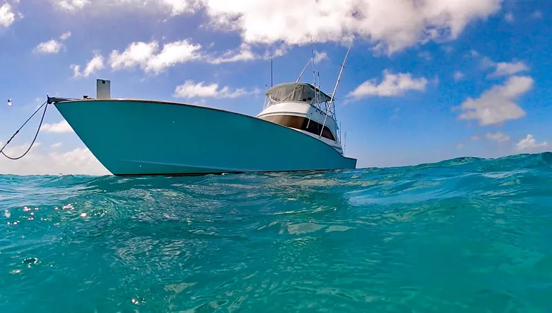 Euphoria Yacht Photos Pics 