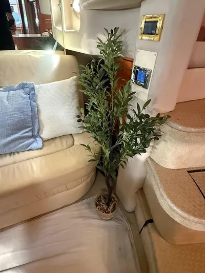  Yacht Photos Pics Interior of 2000 Sea Ray 510 Sundancer with plant and beige seating.
