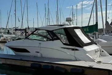  Yacht Photos Pics 2019 Sea Ray Sundancer 320 yacht docked at marina with sailboats in background.
