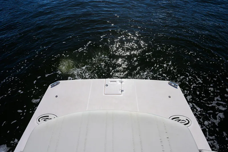 Damn Daddy Yacht Photos Pics 2020 Regal 35 Sport Coupe boat deck overlooking sparkling water.