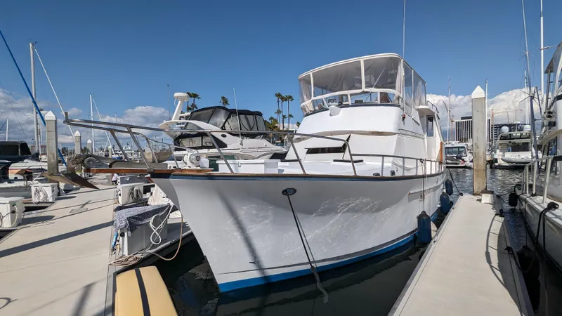 Sand And Stars Yacht Photos Pics 