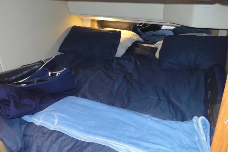  Yacht Photos Pics Cozy cabin interior of 2007 Sea Ray 36 Sedan Bridge with blue bedding.