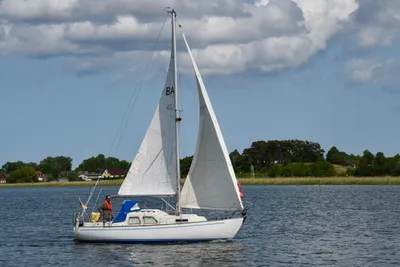 1972 Bandholm BA 24