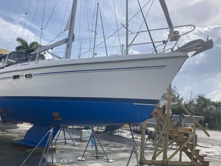 The Wicked Yacht Photos Pics 