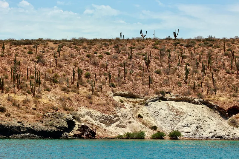 Gari Yacht Photos Pics 