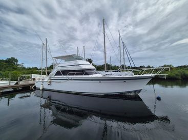 1979 58' Bertram-58 Flybridge Motor Yacht Bocas del Toro, PA