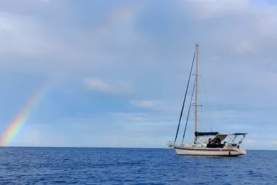 1984 Beneteau Idylle 11,50 centennial