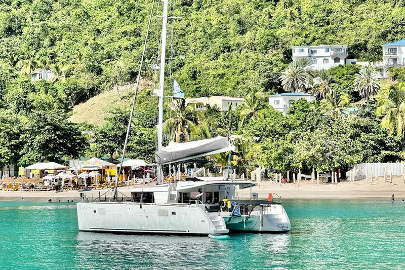 Rapscallion Yacht Photos Pics Lagoon 450 F catamaran anchored near a lush, tropical shoreline, 2018 model.