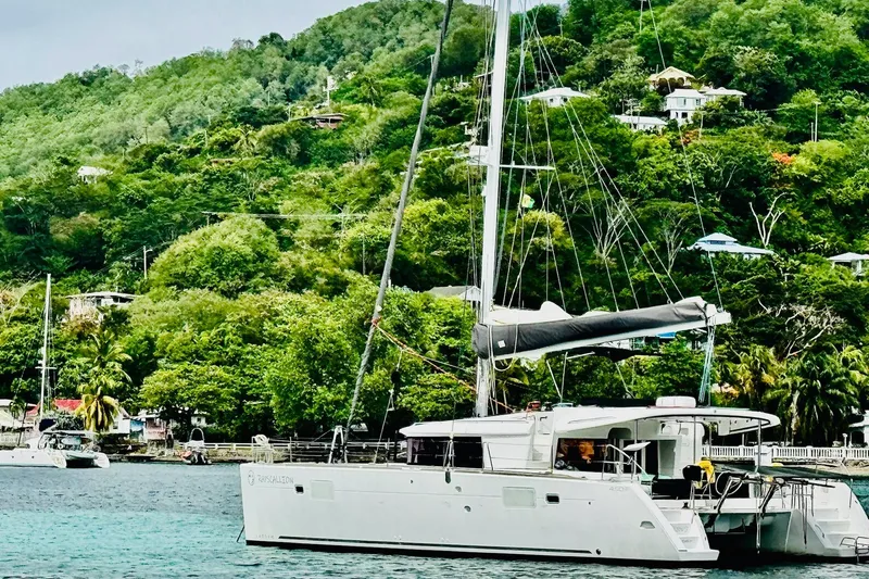 Rapscallion Yacht Photos Pics 2018 Lagoon 450 F catamaran anchored near lush green hillside.