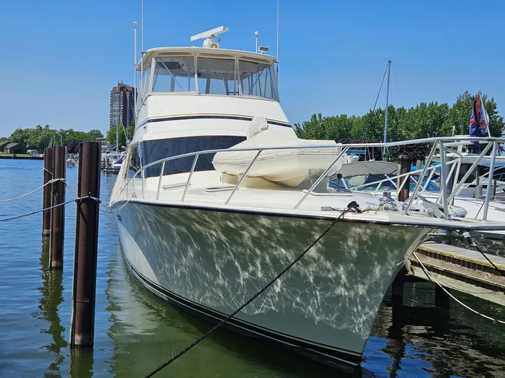 Seaclusion Yacht Photos Pics 